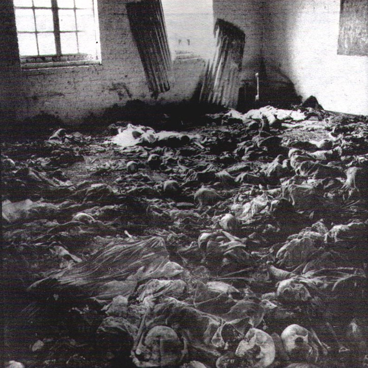 卢旺达种族大屠杀爆发