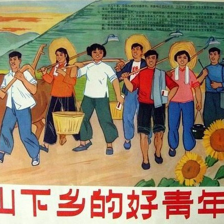 毛泽东号召知识青年上山下乡